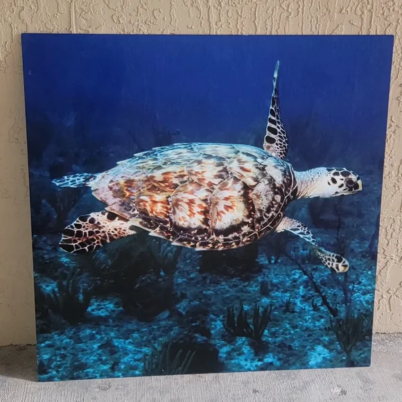 Aluminum Sea Turtle Ocean Wall Art 30x30